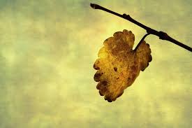lastleaf